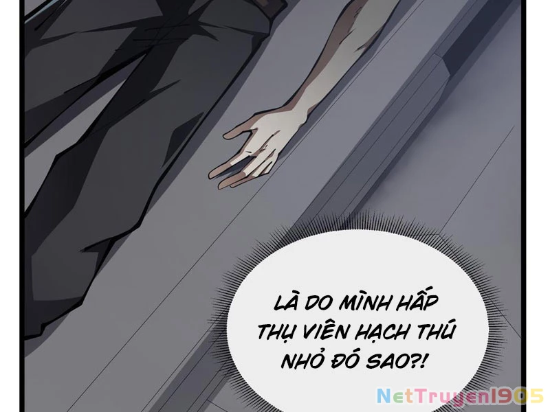 Tai Ách Giáng Lâm: Ta Tiến Hóa Thành Tinh Hồng Chi Vương Chapter 11 - 163