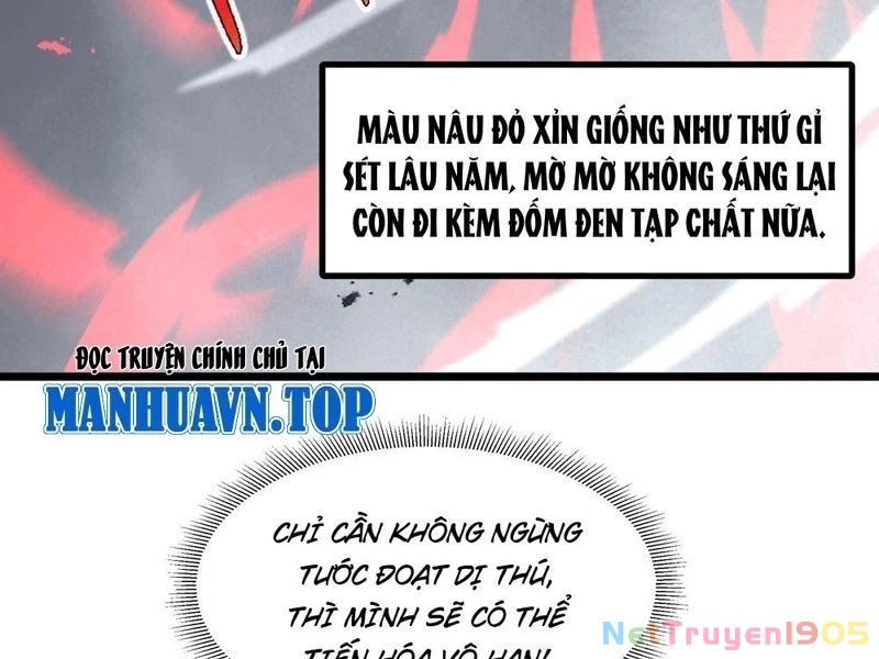 Tai Ách Giáng Lâm: Ta Tiến Hóa Thành Tinh Hồng Chi Vương Chapter 11 - 170