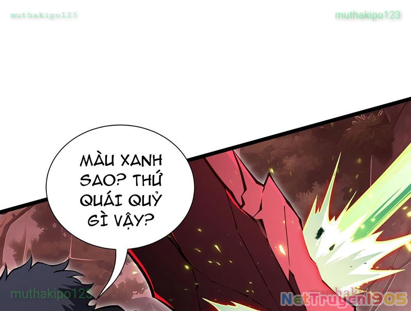 Tai Ách Giáng Lâm: Ta Tiến Hóa Thành Tinh Hồng Chi Vương Chapter 12 - 95