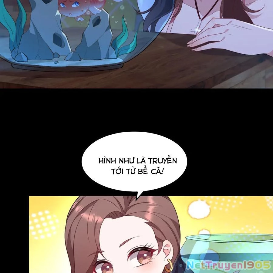 Cửa hàng sủng vật thần kỳ Chapter 18 - 8