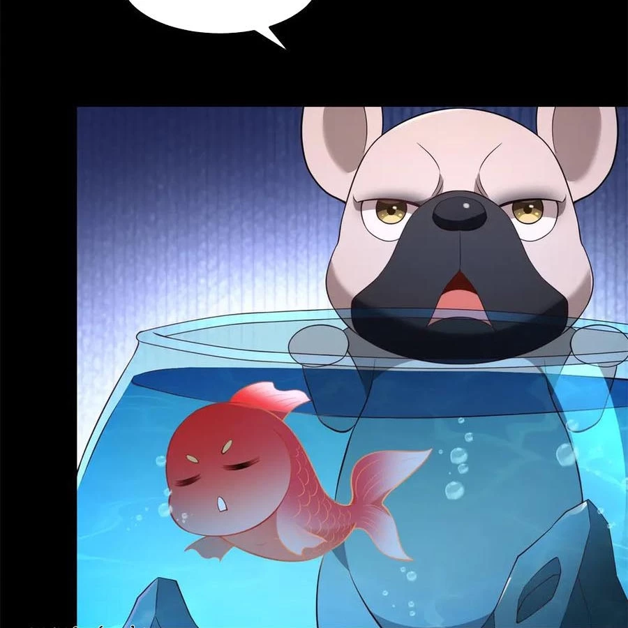 Cửa hàng sủng vật thần kỳ Chapter 18 - 24