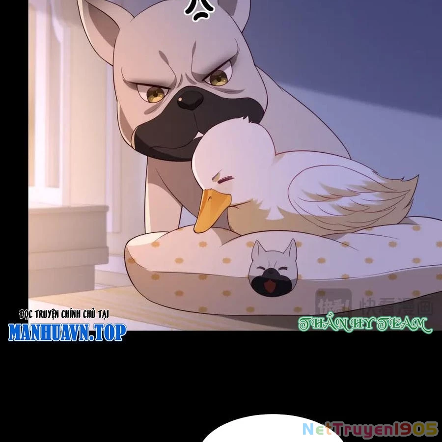 Cửa hàng sủng vật thần kỳ Chapter 18 - 32