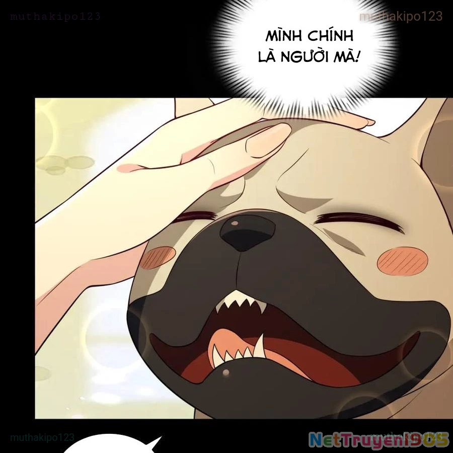 Cửa hàng sủng vật thần kỳ Chapter 18 - 44
