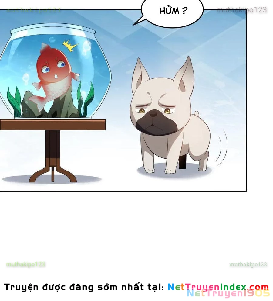 Cửa hàng sủng vật thần kỳ Chapter 18 - 50