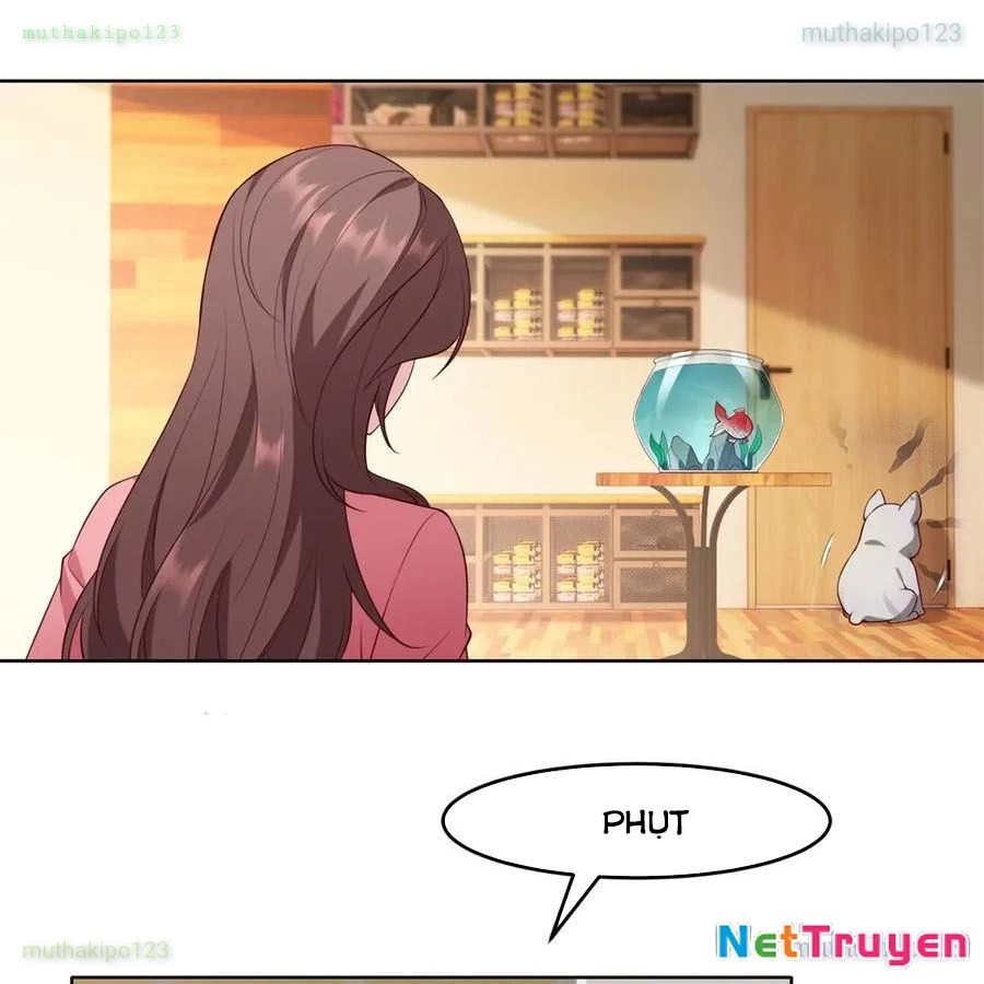 Cửa hàng sủng vật thần kỳ Chapter 18 - 51
