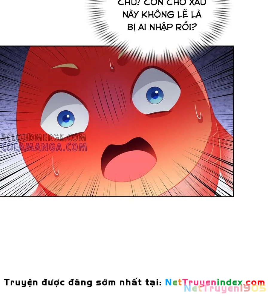 Cửa hàng sủng vật thần kỳ Chapter 18 - 55