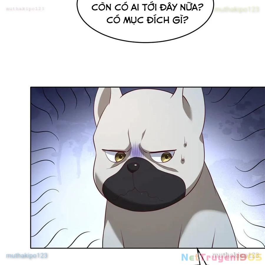 Cửa hàng sủng vật thần kỳ Chapter 18 - 65