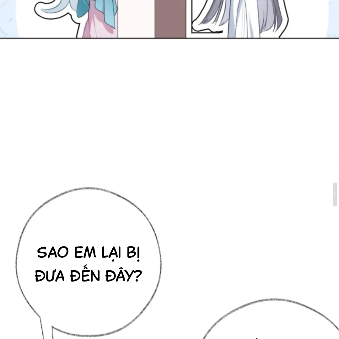 Nhịp Đập Cảm Xúc Chapter 14 - 42