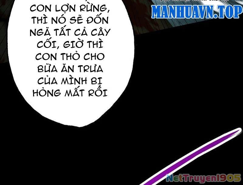 Gặp Mạnh Thì Mạnh, Ta Tu Vi Vô Thượng Hạn Chapter 78 - 11