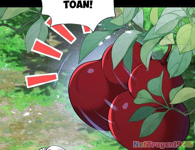 Gặp Mạnh Thì Mạnh, Ta Tu Vi Vô Thượng Hạn Chapter 78 - 59