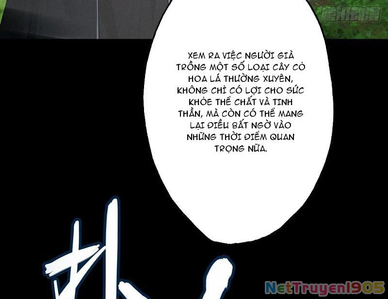 Gặp Mạnh Thì Mạnh, Ta Tu Vi Vô Thượng Hạn Chapter 78 - 61