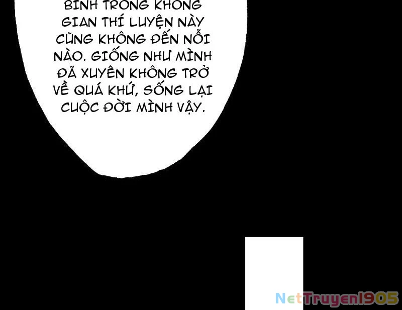 Gặp Mạnh Thì Mạnh, Ta Tu Vi Vô Thượng Hạn Chapter 78 - 118