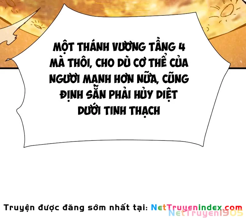 Sư Tôn: Nghịch Đồ Này Mới Không Phải Là Thánh Tử Chapter 147 - 82