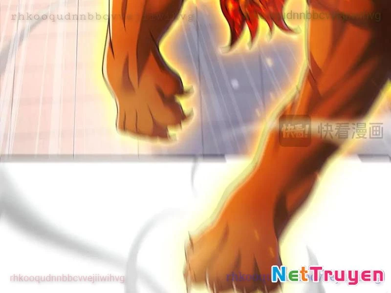 Bắt Đầu Chấn Kinh Nữ Đế Lão Bà, Ta Vô Địch! Chapter 94 - 141