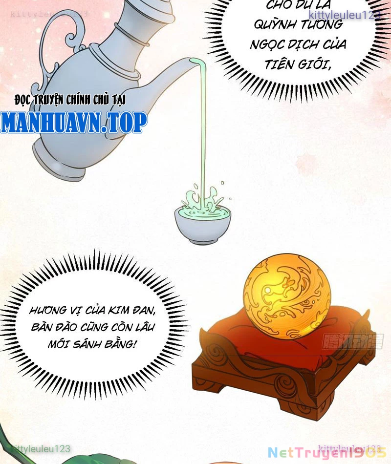 Chuyển Sinh Thành Tra Nam, Ta Giúp Thê Tử Trường Sinh Chapter 43 - 14