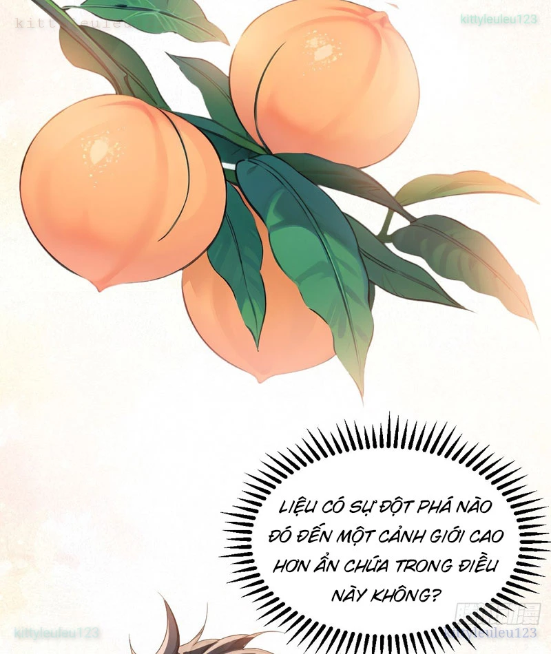 Chuyển Sinh Thành Tra Nam, Ta Giúp Thê Tử Trường Sinh Chapter 43 - 15