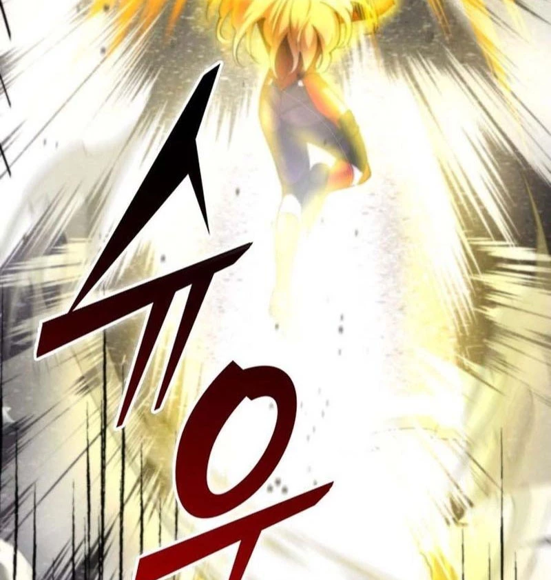 Anh Hùng Đã Trở Thành Phản Diện Mà Tôi Ám Ảnh Chapter 14 - 164