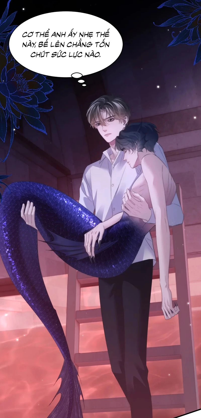 Desharow Nhân Ngư Chapter 113 - 5