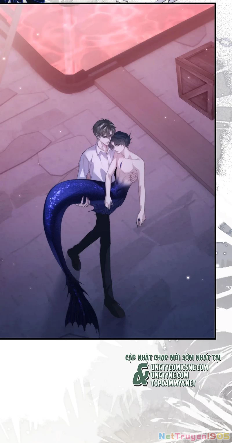 Desharow Nhân Ngư Chapter 113 - 7