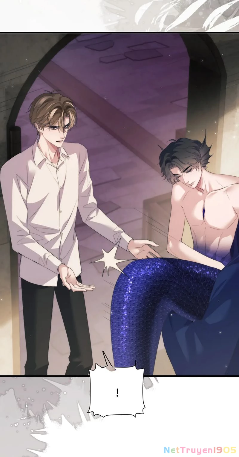 Desharow Nhân Ngư Chapter 113 - 8