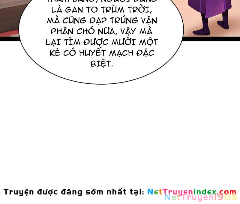 Chàng Rể Mạnh Nhất Lịch Sử Chapter 334 - 121