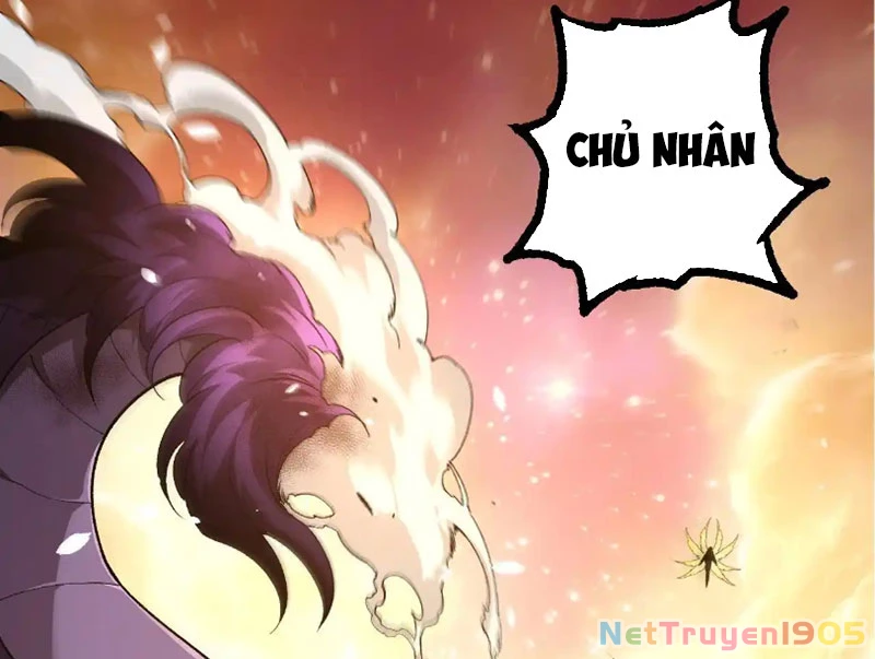 Chuyển Sinh Thành Liễu Đột Biến Chapter 432 - 62