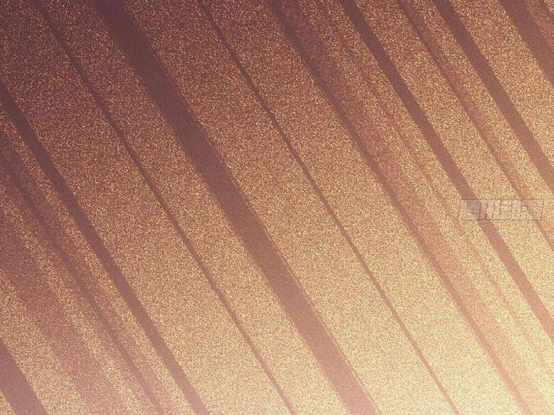 Tiến Hóa Vô Hạn Bắt Đầu Từ Con Số Không Chapter 15 - 97