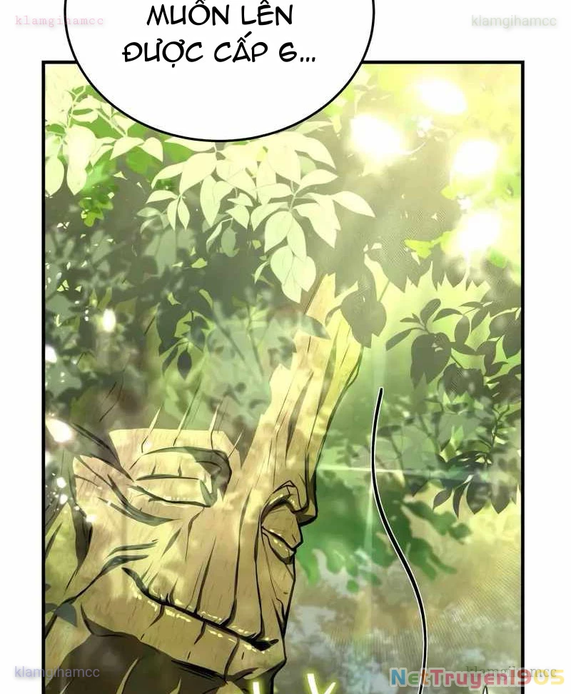 Kim Chiến Sĩ: Hành Trình Xây Dựng Đặc Tính Chapter 58 - 13