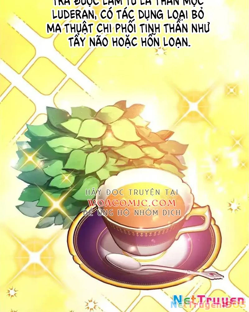 Tôi May Mắn Triệu Hồi Được Tinh Linh Hộ Vệ Hạng 10 Chapter 38 - 16