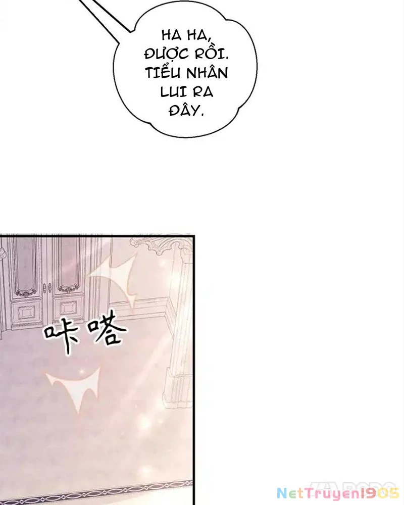 Tôi May Mắn Triệu Hồi Được Tinh Linh Hộ Vệ Hạng 10 Chapter 38 - 38