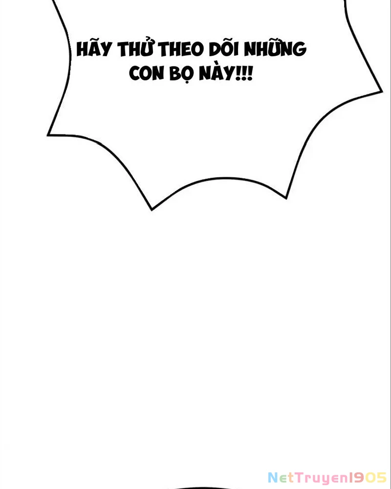 Tôi May Mắn Triệu Hồi Được Tinh Linh Hộ Vệ Hạng 10 Chapter 38 - 147