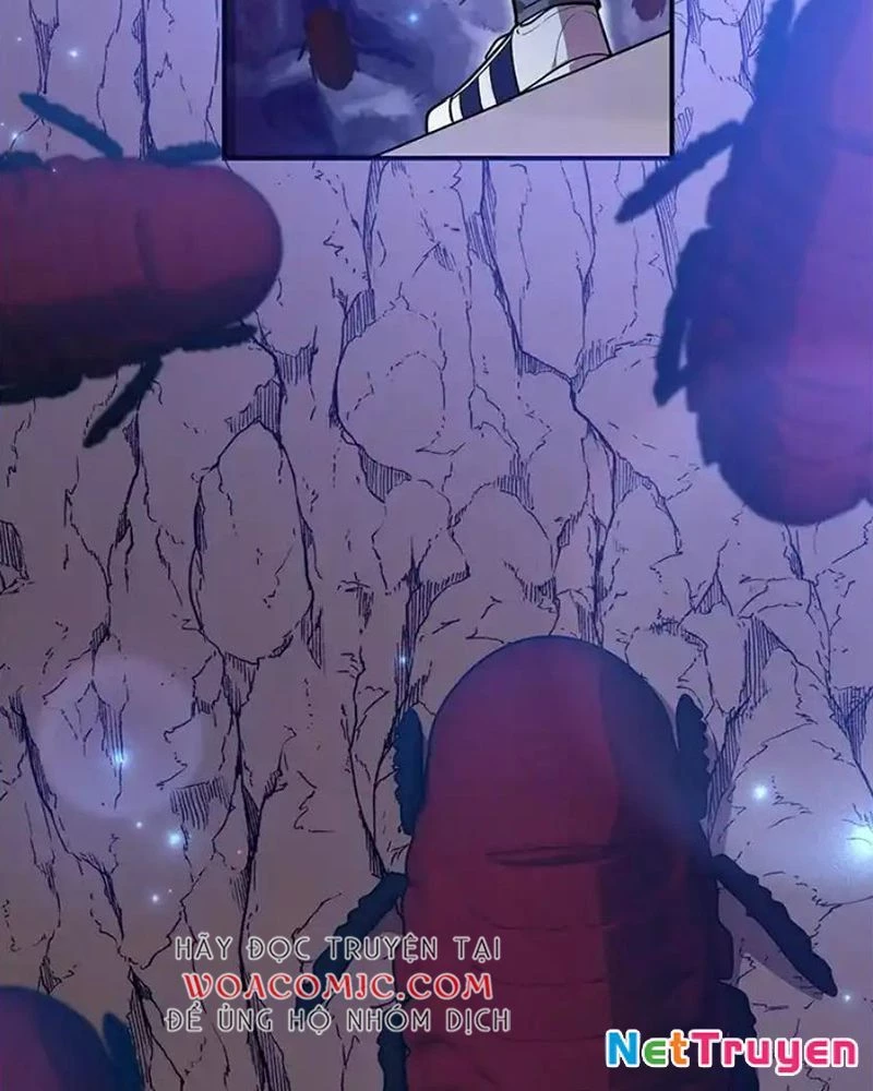 Tôi May Mắn Triệu Hồi Được Tinh Linh Hộ Vệ Hạng 10 Chapter 39 - 16