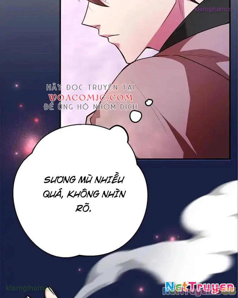 Tôi May Mắn Triệu Hồi Được Tinh Linh Hộ Vệ Hạng 10 Chapter 39 - 61