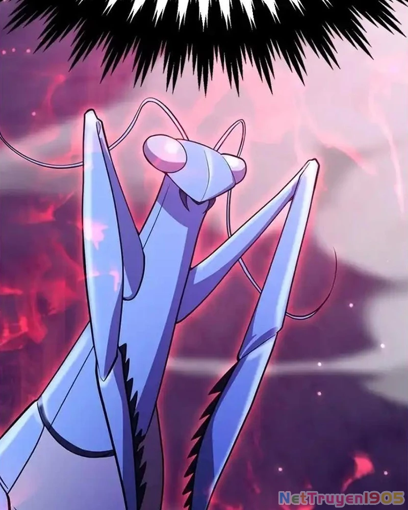 Tôi May Mắn Triệu Hồi Được Tinh Linh Hộ Vệ Hạng 10 Chapter 39 - 132