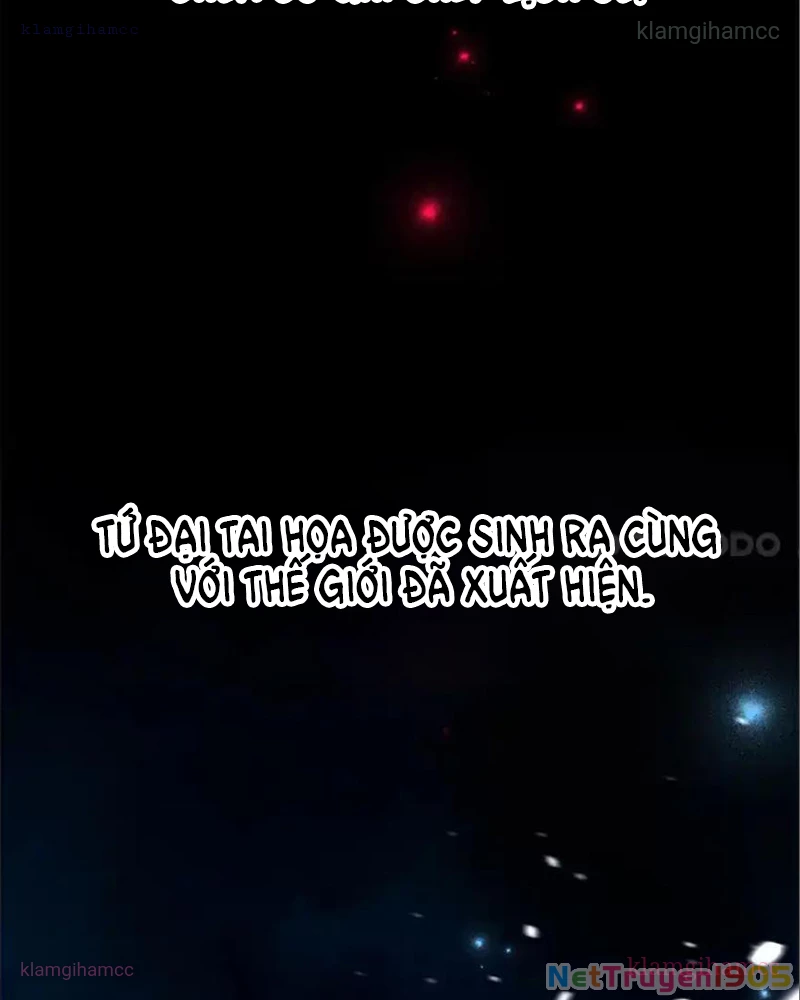 Tôi May Mắn Triệu Hồi Được Tinh Linh Hộ Vệ Hạng 10 Chapter 41 - 3