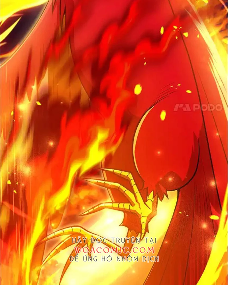 Tôi May Mắn Triệu Hồi Được Tinh Linh Hộ Vệ Hạng 10 Chapter 41 - 10