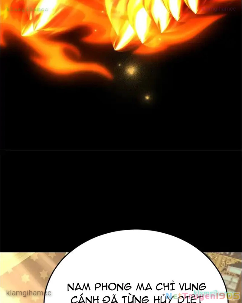 Tôi May Mắn Triệu Hồi Được Tinh Linh Hộ Vệ Hạng 10 Chapter 41 - 12