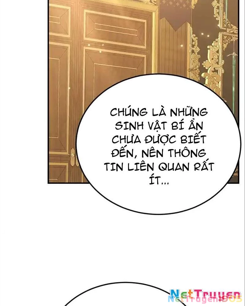 Tôi May Mắn Triệu Hồi Được Tinh Linh Hộ Vệ Hạng 10 Chapter 41 - 16