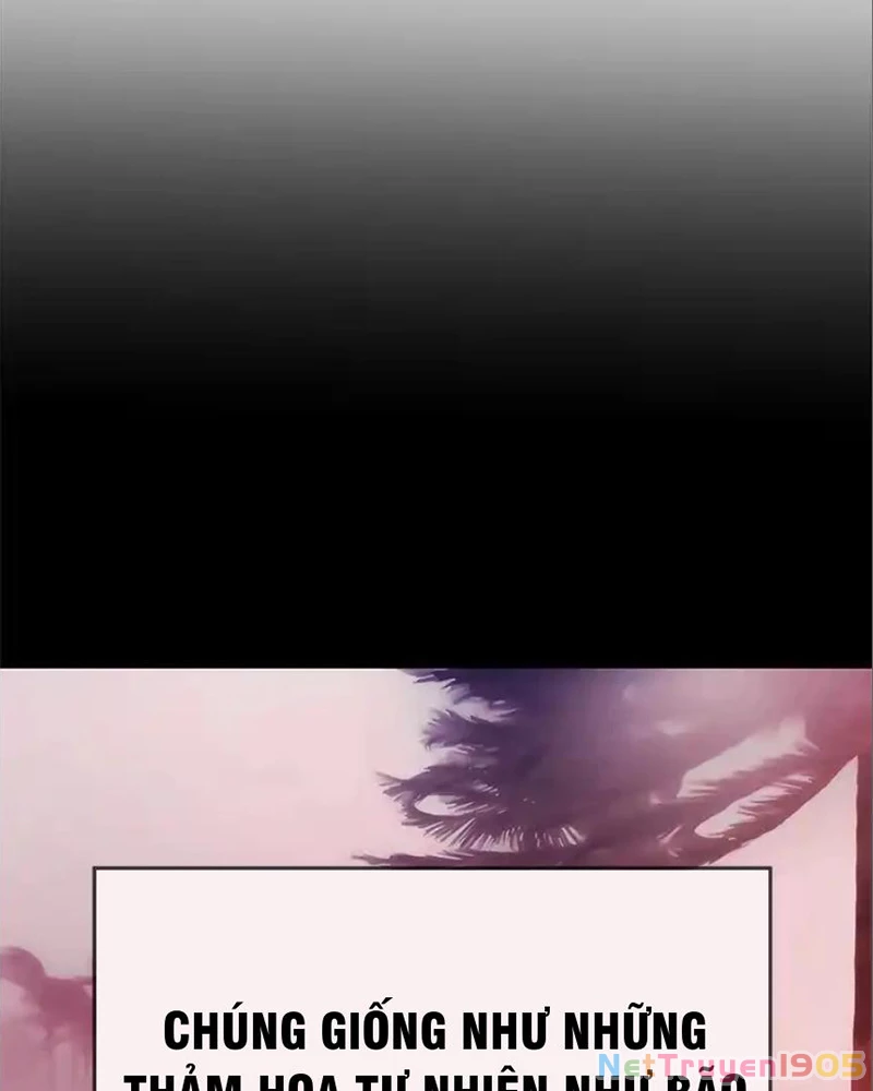 Tôi May Mắn Triệu Hồi Được Tinh Linh Hộ Vệ Hạng 10 Chapter 41 - 22