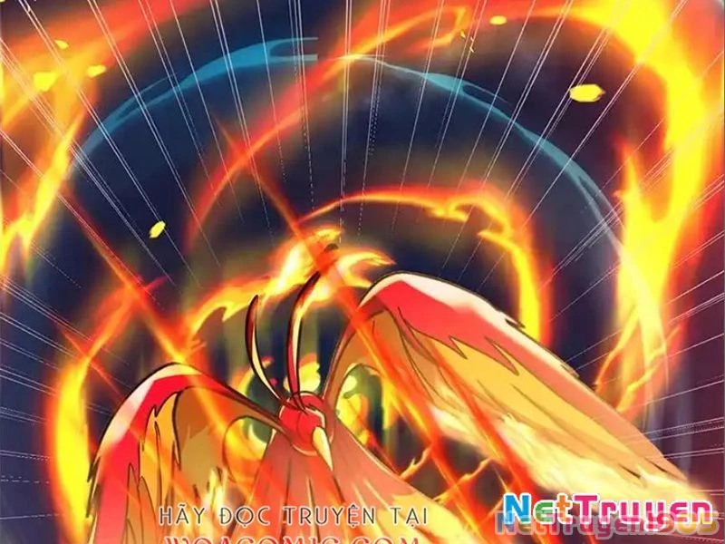 Tôi May Mắn Triệu Hồi Được Tinh Linh Hộ Vệ Hạng 10 Chapter 41 - 26