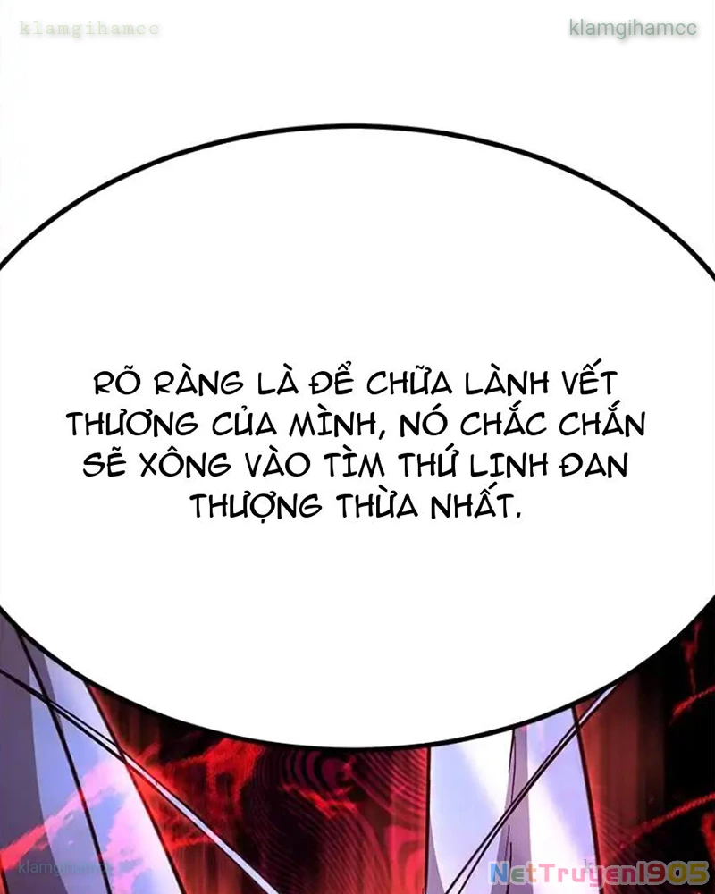 Tôi May Mắn Triệu Hồi Được Tinh Linh Hộ Vệ Hạng 10 Chapter 41 - 40