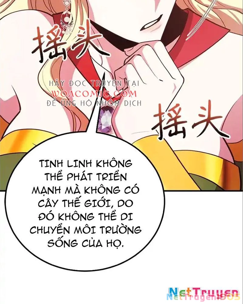 Tôi May Mắn Triệu Hồi Được Tinh Linh Hộ Vệ Hạng 10 Chapter 41 - 61