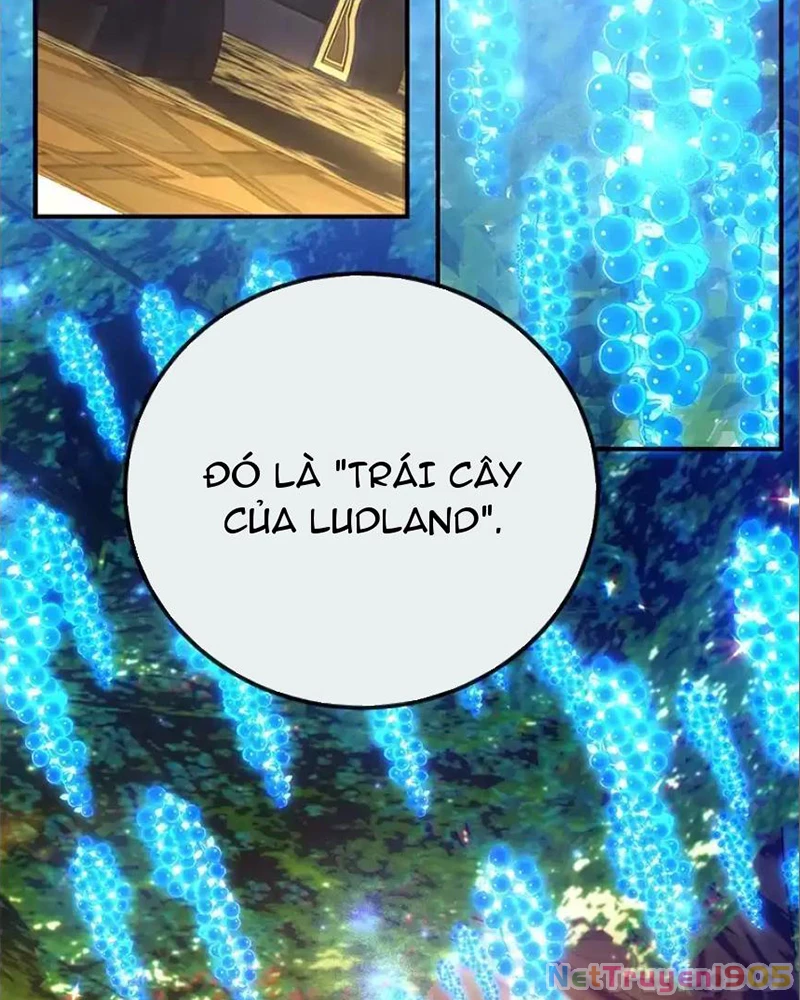 Tôi May Mắn Triệu Hồi Được Tinh Linh Hộ Vệ Hạng 10 Chapter 41 - 63