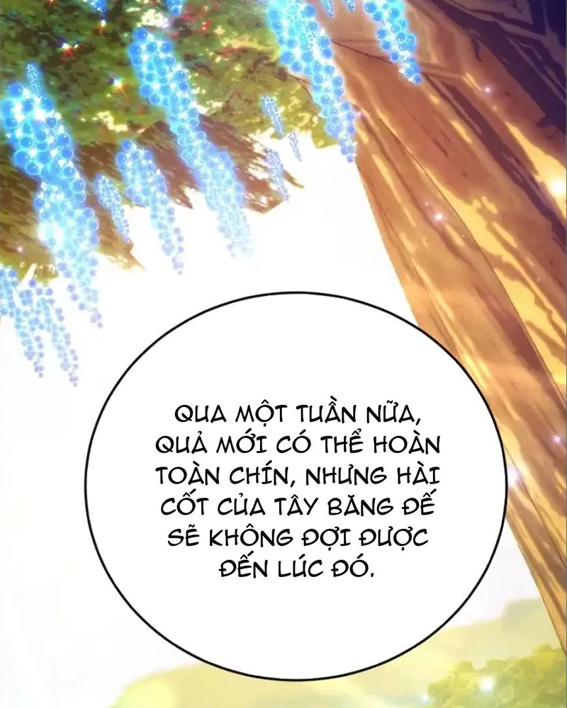 Tôi May Mắn Triệu Hồi Được Tinh Linh Hộ Vệ Hạng 10 Chapter 41 - 64