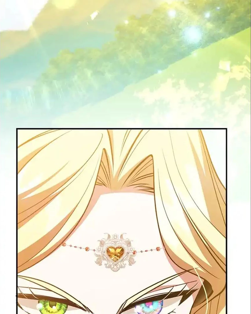 Tôi May Mắn Triệu Hồi Được Tinh Linh Hộ Vệ Hạng 10 Chapter 41 - 65