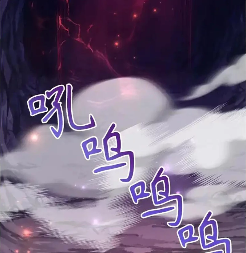 Tôi May Mắn Triệu Hồi Được Tinh Linh Hộ Vệ Hạng 10 Chapter 41 - 82