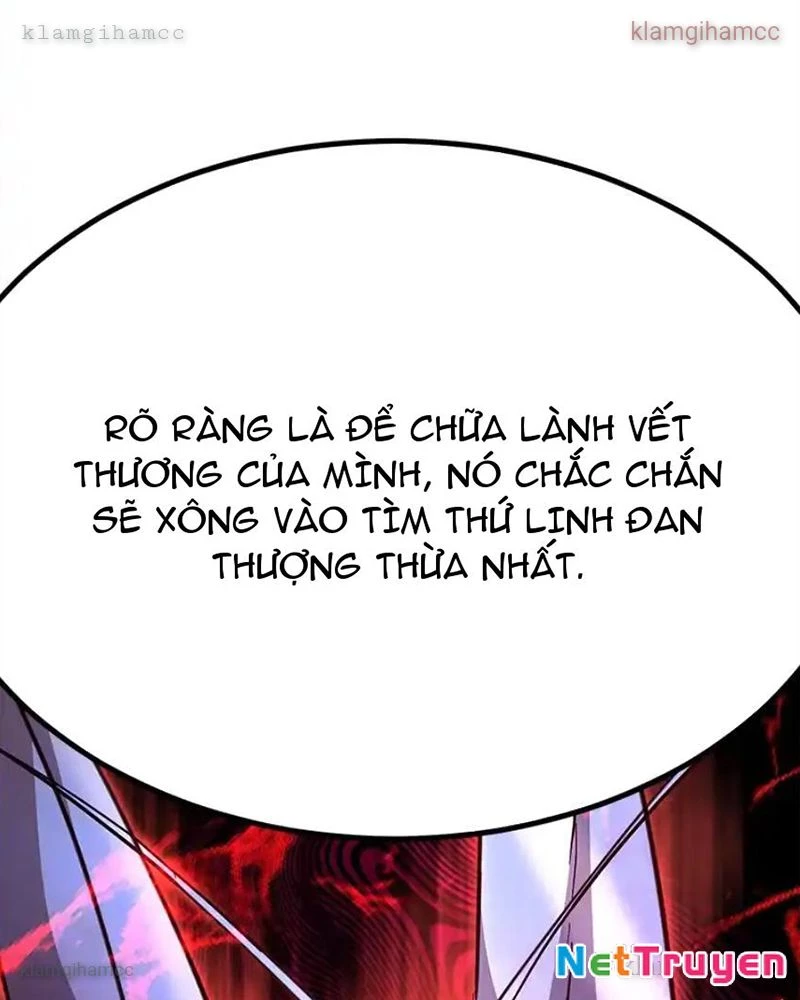 Tôi May Mắn Triệu Hồi Được Tinh Linh Hộ Vệ Hạng 10 Chapter 41 - 86