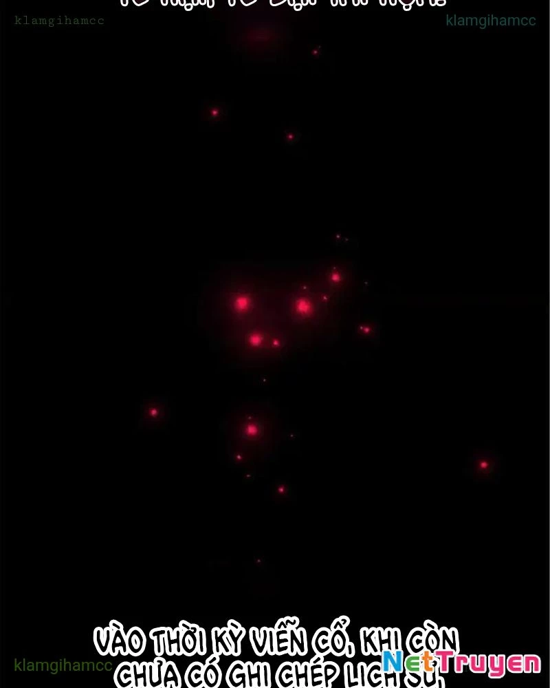 Tôi May Mắn Triệu Hồi Được Tinh Linh Hộ Vệ Hạng 10 Chapter 41 - 101