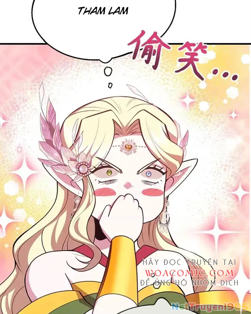 Tôi May Mắn Triệu Hồi Được Tinh Linh Hộ Vệ Hạng 10 Chapter 41 - 113