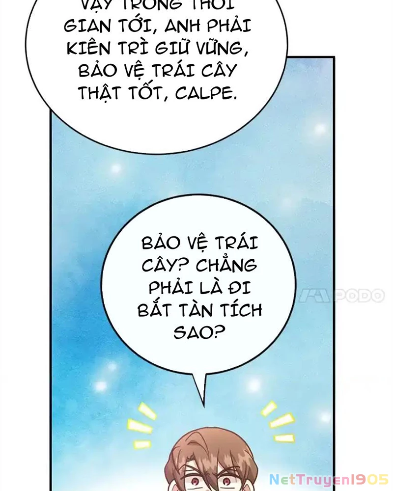 Tôi May Mắn Triệu Hồi Được Tinh Linh Hộ Vệ Hạng 10 Chapter 41 - 115